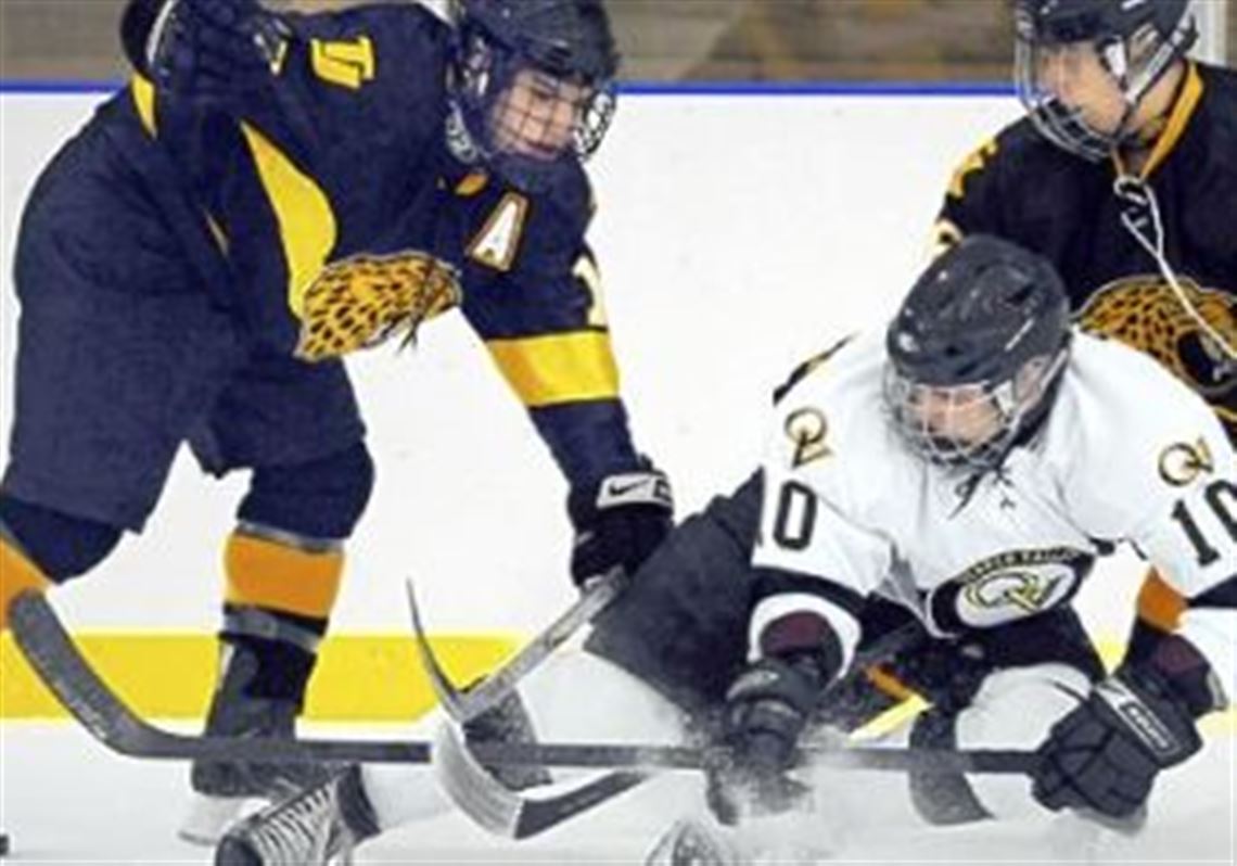 Ryan Dickson (10) leads a Quaker Valley squad that is the favorite to win WPIAL Class A.