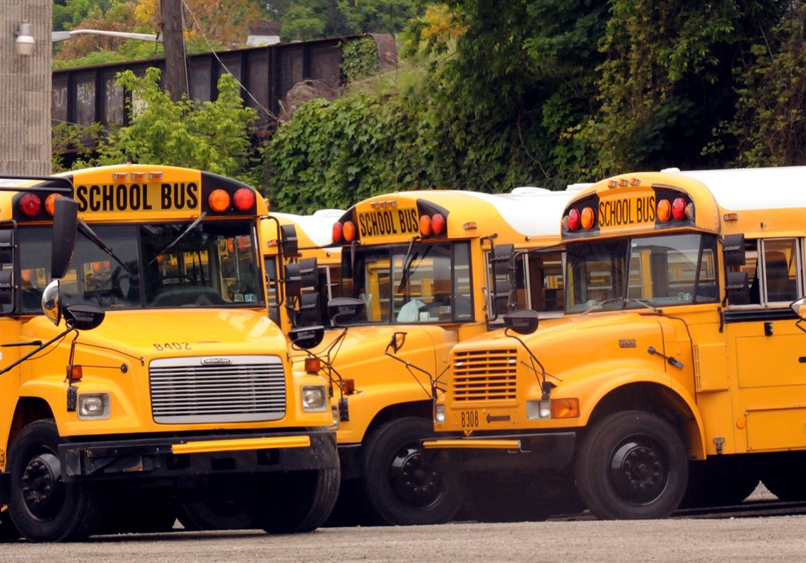 A bus driver for the Pine-Richland School District has been charged with drunken driving and child endangerment.