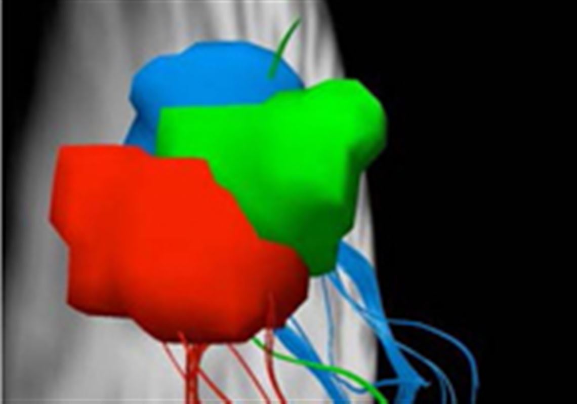 This is an image of the parietal cortex of the brain, which translates what you see with your eyes. This is the type of research that will be undertaken by the BrainHub.