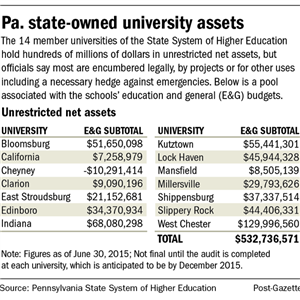 Financially strapped state universities are asked about their assets