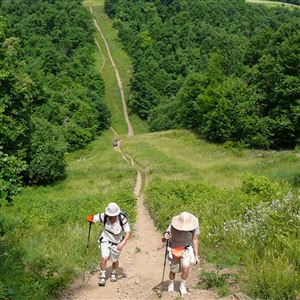 Hikers make their way along a trail in an Allegheny County.
