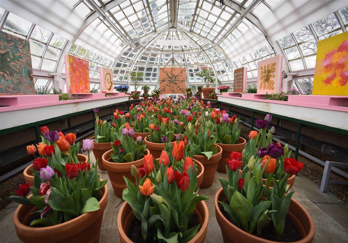 In April, Elise Adibi's pantings hang among the plants at the greenhouse of The Frick Pittsburgh in Point Breeze and change over time due to exposure to light, humidity and temperature. 