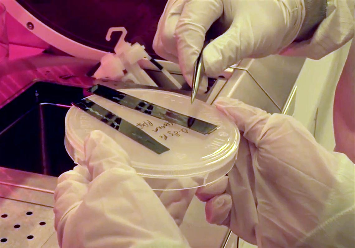 Carnegie Mellon University researchers have created a hydrogel material for electrodes that can stick to the brain.