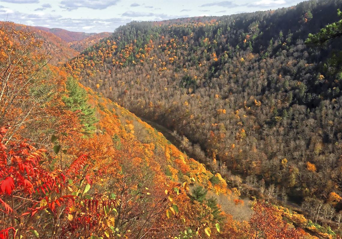 Tioga