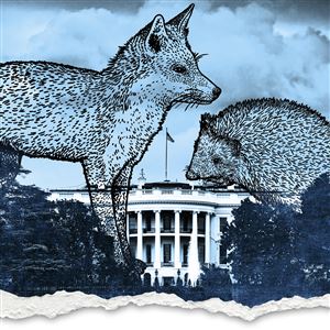 Keith C. Burris: Romance of the hedgehog