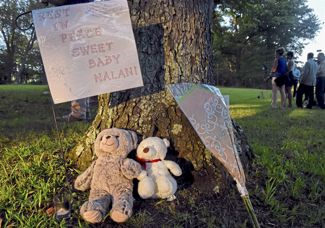 A memorial to Nalani Johnson, a 1-year-old from Penn Hills who died last year, sits in Pine Ridge Park where the body was found.