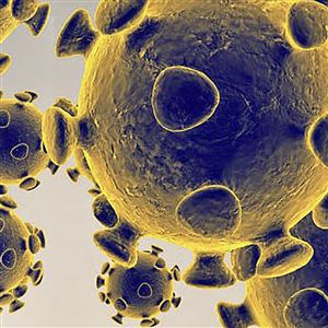 This illustration shows the coronavirus that causes COVID-19.  