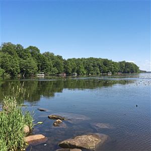 Pontoon boats moored at cottages along the shore at Pymatuning Lake in Crawford County, Pa., on June 22, 2019. (Bob Batz Jr./Post-Gazette)