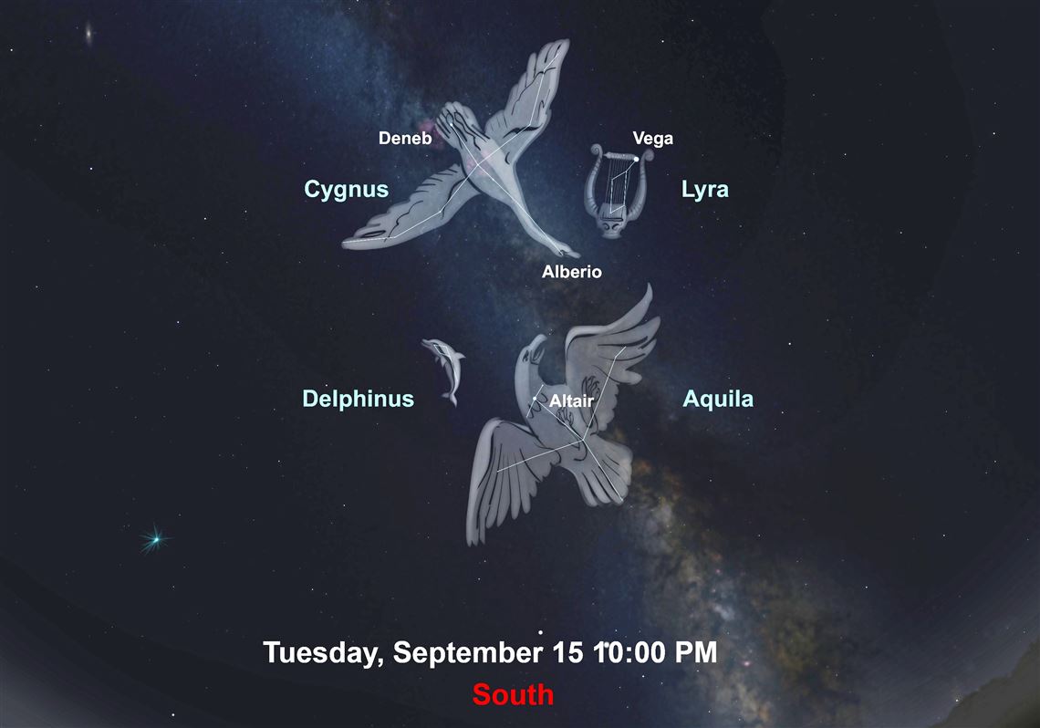 The Summer Triangle is still high in the sky throughout September, giving an ideal view of the 16th largest constellation — the majestic Cygnus,