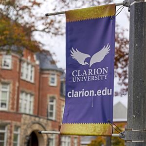 This is a banner on the campus of Clarion University in Clarion, Pa, on Wednesday, Oct. 21, 2020. 