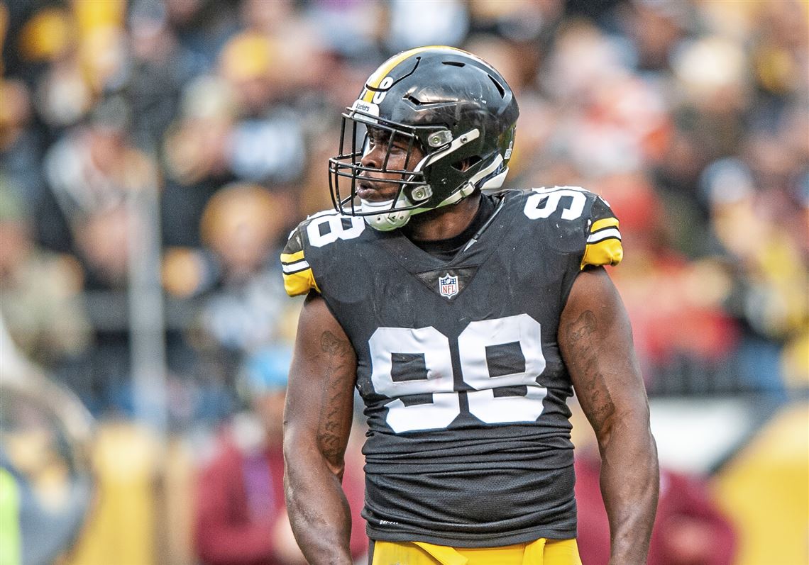 Steelers linebacker Vince Williams retires just before training camp opens  | Pittsburgh Post-Gazette