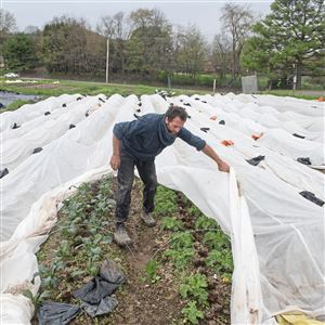 Todd Wilson started the organic Tiny Seed Farm five years ago.