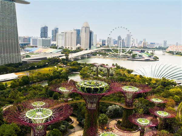 The Gardens By the Bay nature park in Singapore is featured in the IMAX film 
