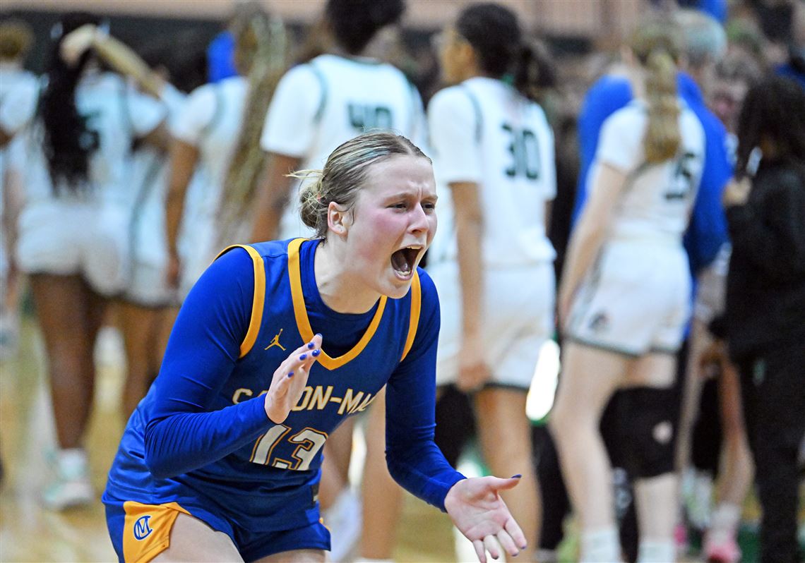 PIAA basketball box scores and results and PIAA wrestling results for  Friday, March 7, 2025; PIAA basketball playoff schedule | Pittsburgh  Post-Gazette