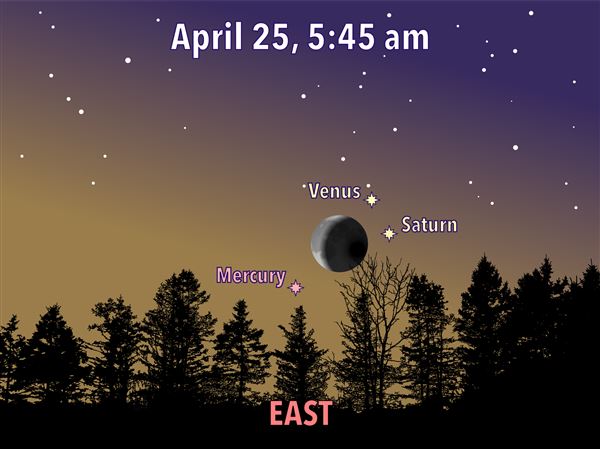 トップス meguru_ MOON TREE PLANET TOO THREE トップス meguru_ MOON TREE PLANET TOO THREE トップス meguru_ MOON