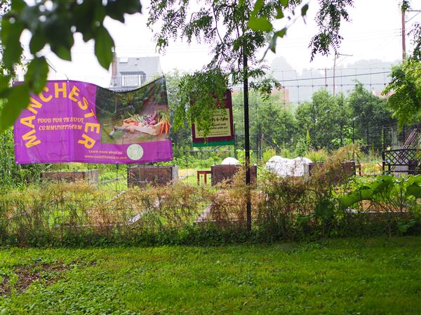 A Manchester community garden's future is uncertain with development looming