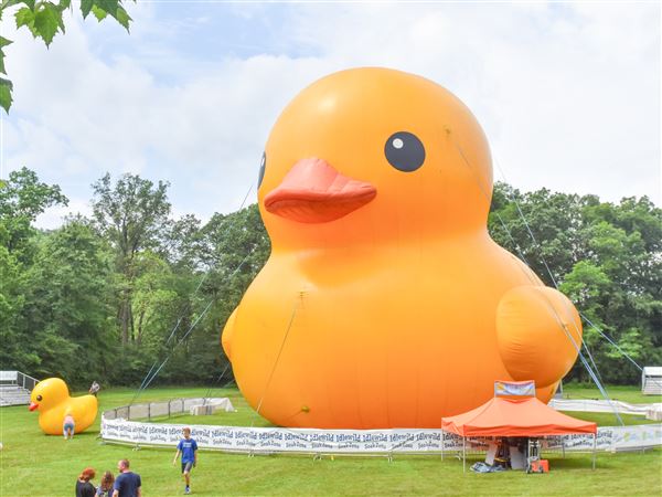 People flock to Idlewild in Ligonier to see the world’s largest rubber duck.