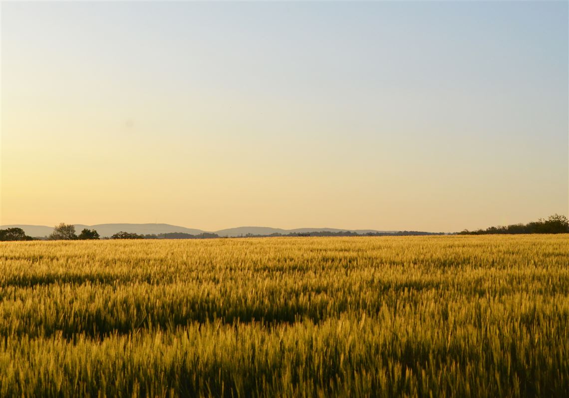 Take a look inside Western Pa.’s only malthouse