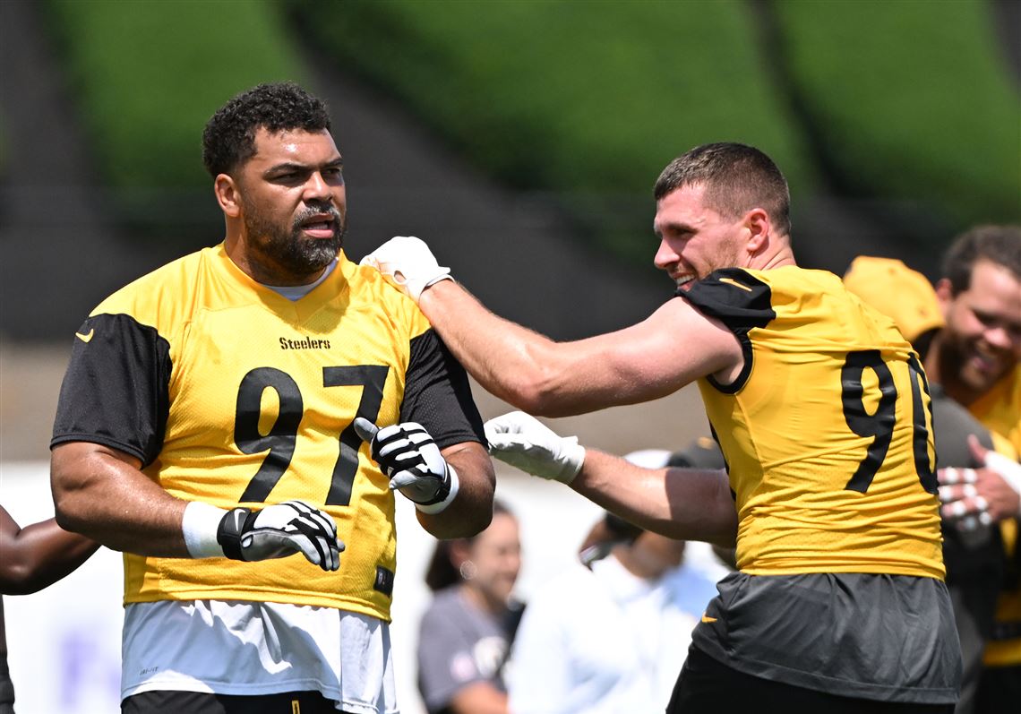 Jason Mackey: Cam Heyward can read offenses, but he's apparently not very good at reading a room - Pittsburgh Post-Gazette