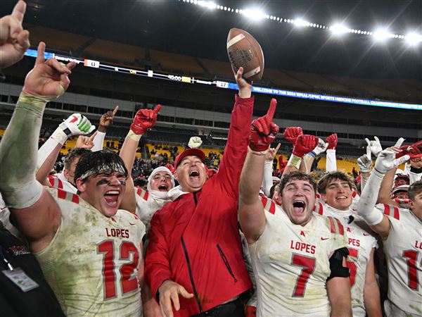 Avonworth celebrates after defeating Central Valley 17-0 in the WPIAL Class 3A Football Championship game at Acrisure Stadium in Pittsburgh on Saturday, Nov. 23, 2024.