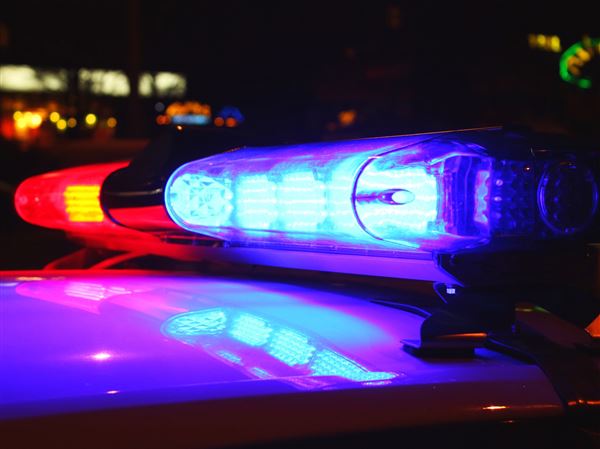 The South Fayette Township School District is creating its police department ahead of the 2025-26 school year, and it officially hired its first police officer.
