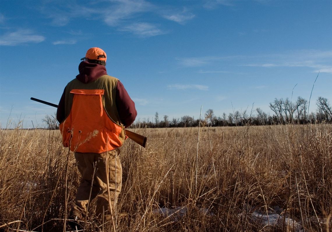 As more hunters donate deer venison to food banks, higher donations are ...