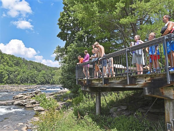 Visitors take in a view of Ohiopyle Falls at Ohiopyle State Park Monday, Aug. 10, 2020, in Ohiopyle. (Matt Freed/Post-Gazette) 